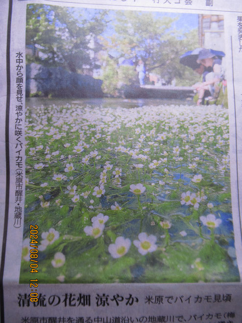 新聞記事をお借りして…